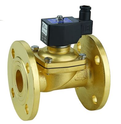 2/2 2W-250-25NF Way Flange Vacuum Solenoid Valve 2w 250 25 Solenoid Valve for Water